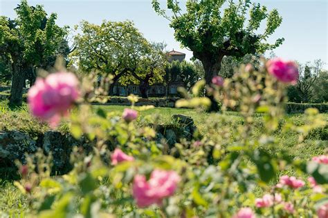 dior grasse visite